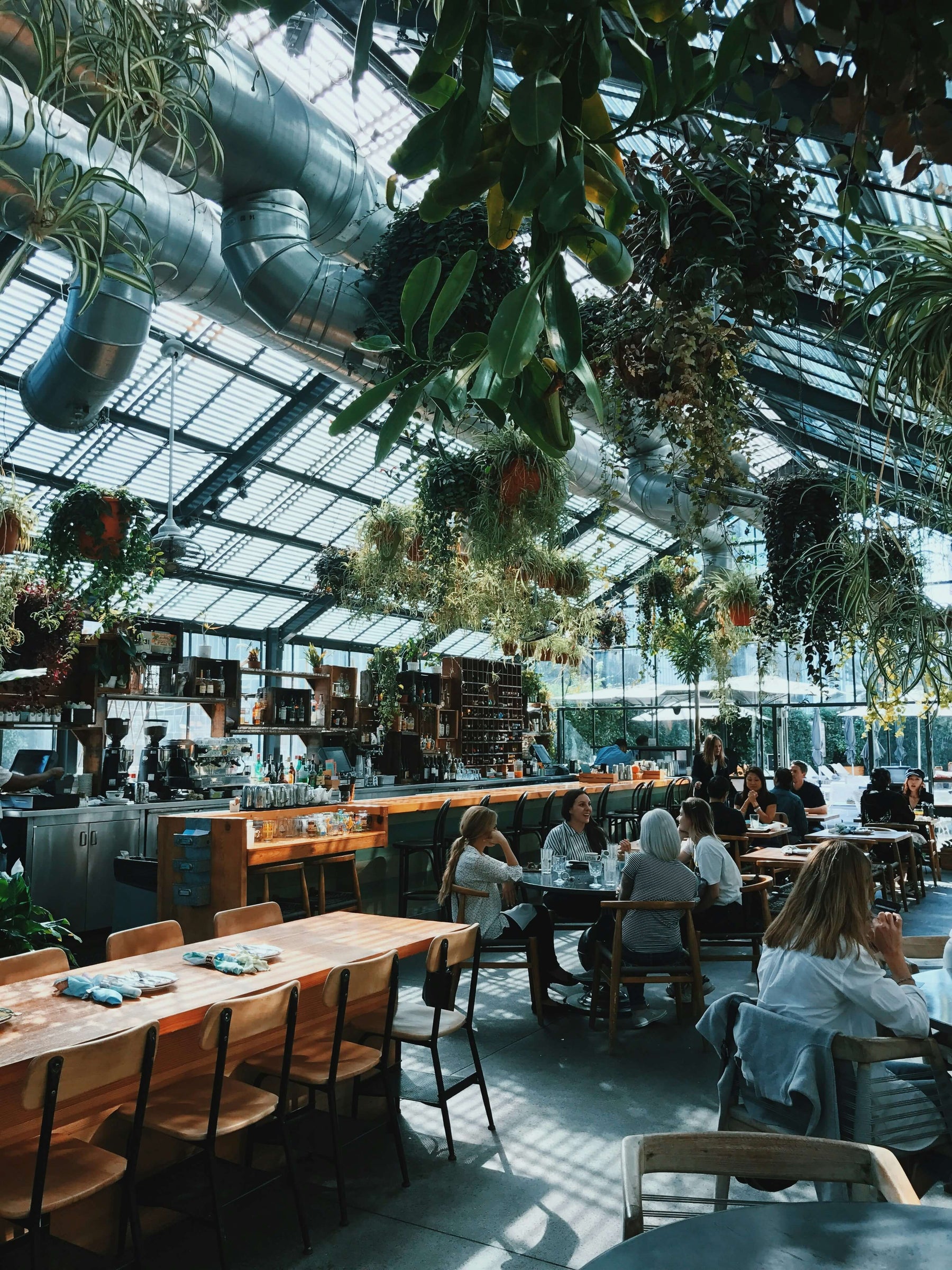 Keep Your Restaurant Contaminant Free With Air Doors For Fly Prevention